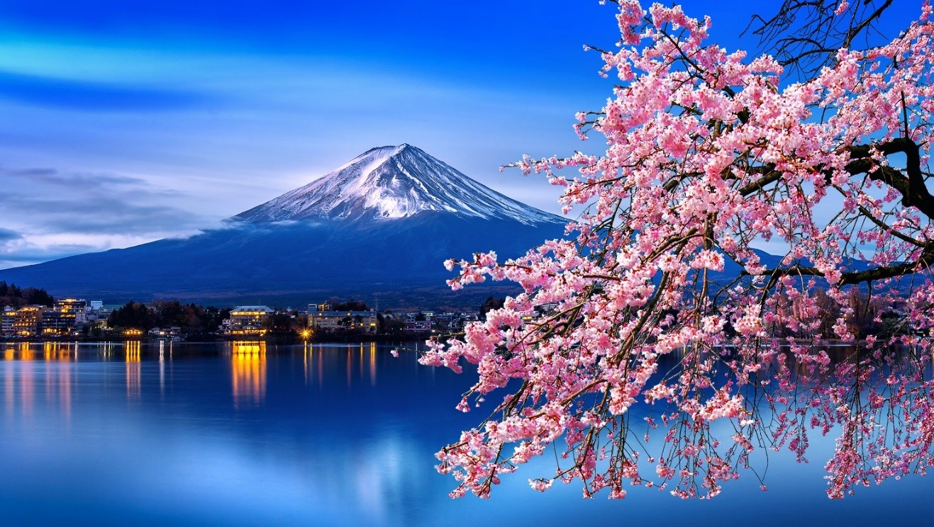 漫山遍野的樱花及壮观的富士山,已经成为日本北海道最具象征性的景色!