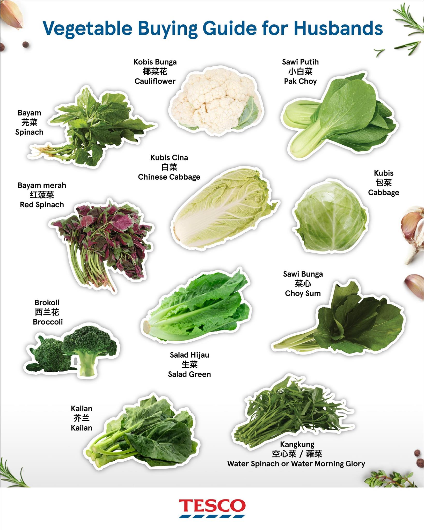 100种蔬菜大全名称图片图片