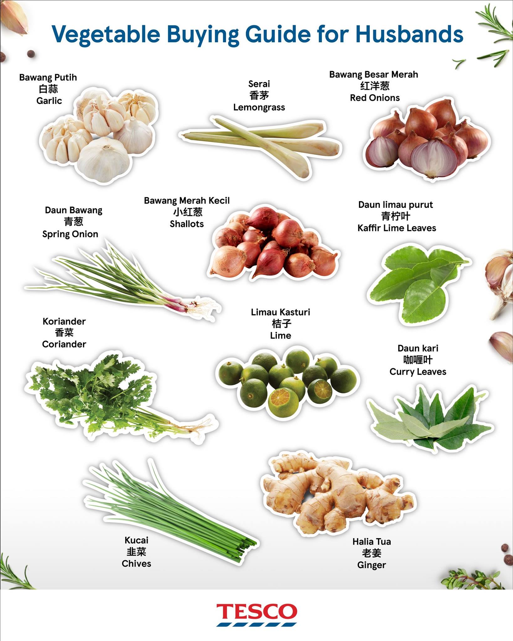 蔬菜种类大全名字图片图片