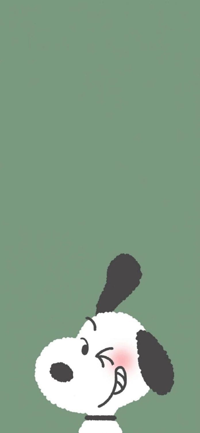 mjml code for a line mjml code for a line