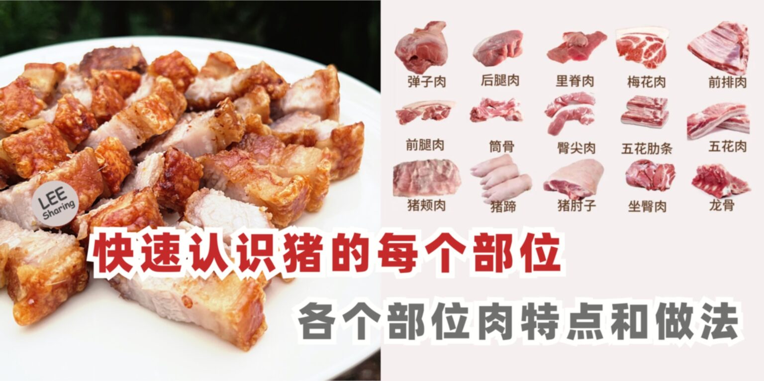 快速认识猪的每个部位，猪肉佬都夸你真会选！ – LEESHARING