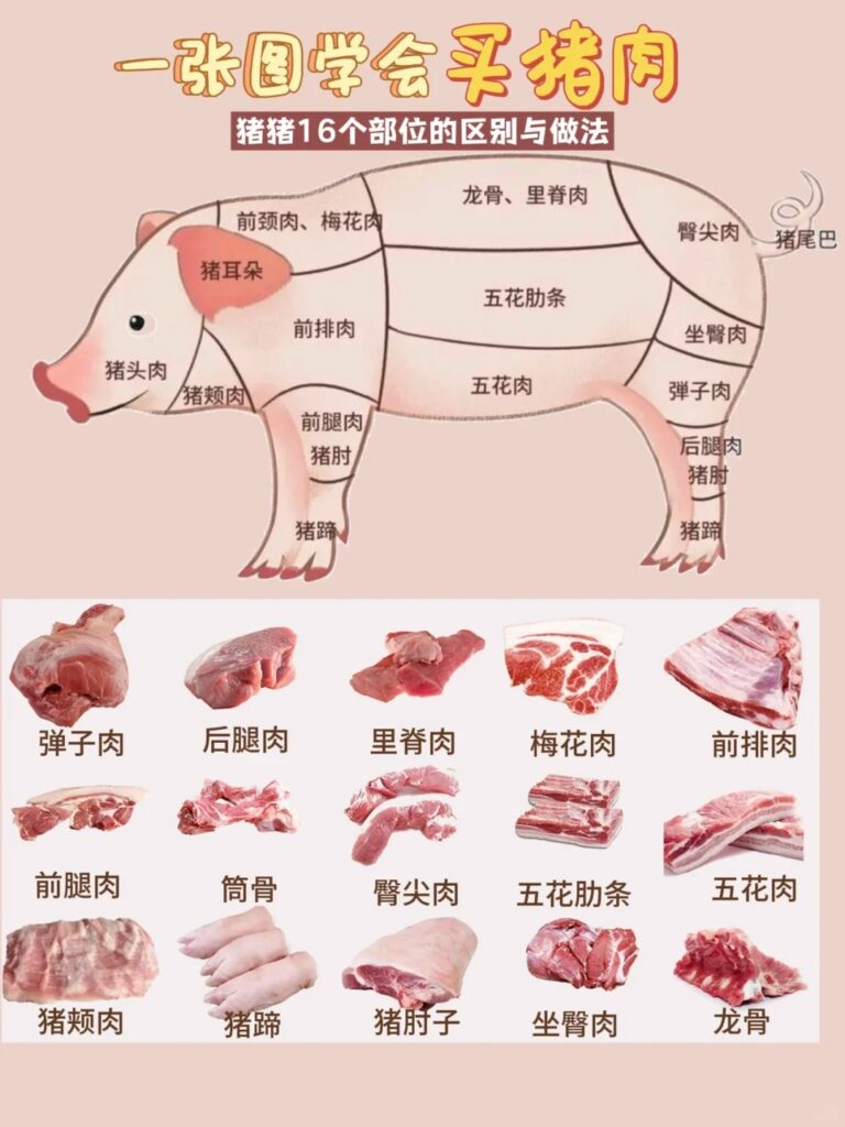 快速认识猪的每个部位！各个部位肉特点和做法！ – LEESHARING