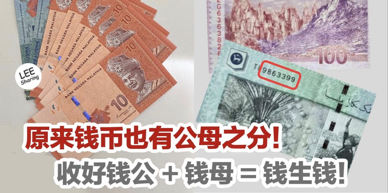 原来钱币也有公母之分!收好钱公+钱母=钱生钱! – LEESHARING